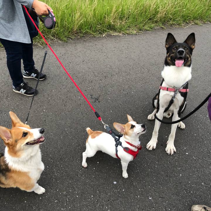 0c17acc5 41ce 40de a580 60f8f3777709 1561042157932