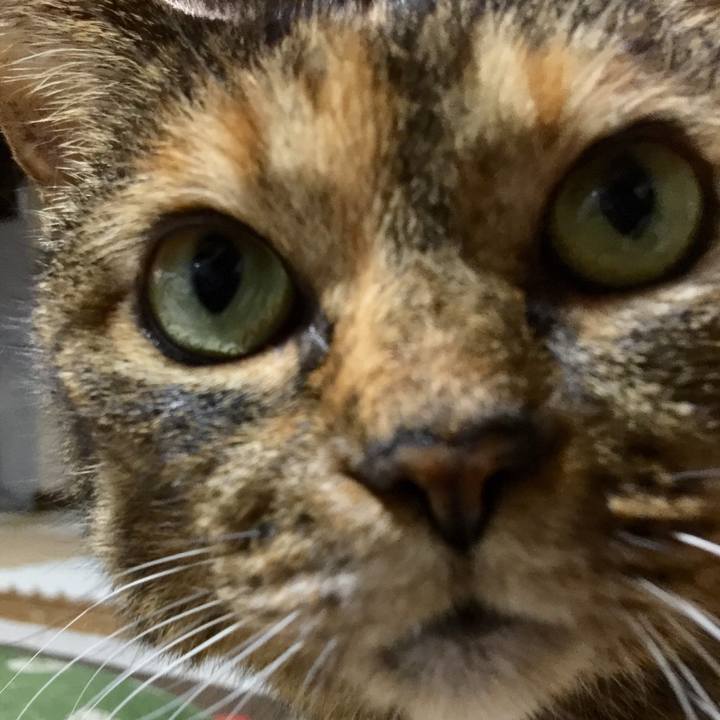 0c17f271 f83c 4519 886d b5f2719f2807 1508938669182