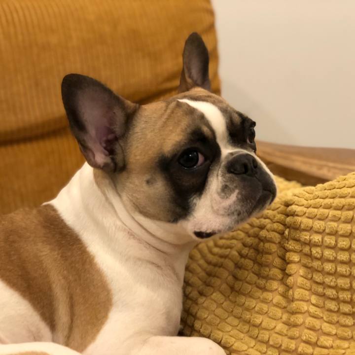 0c1806f6 75ce 4b35 bd34 7ec7b3e1e7f4 1581725016720