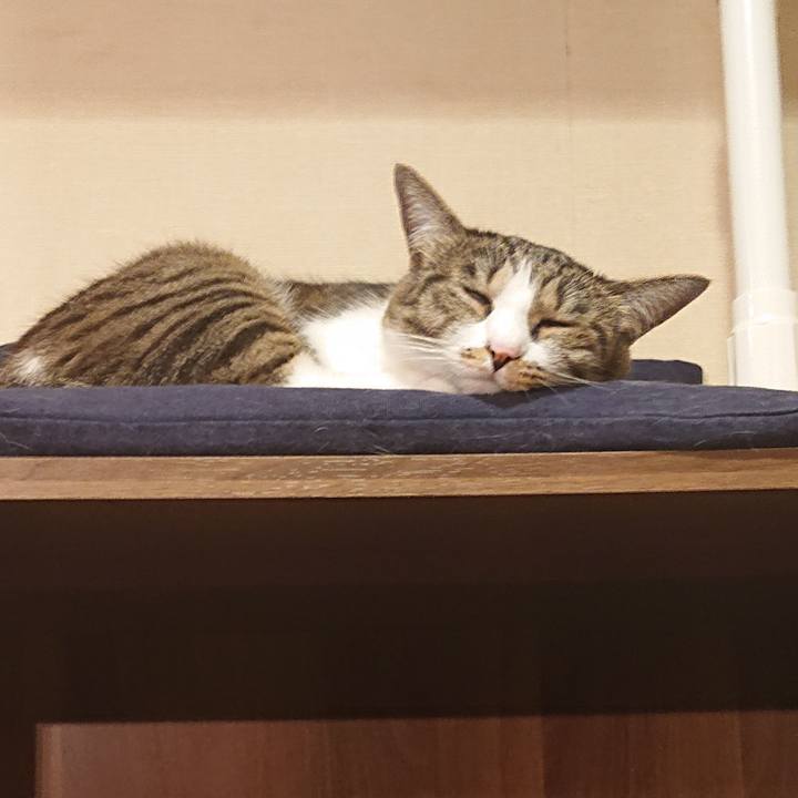 0c186f2c 410f 4be0 8bd7 a12b794ca374 1626626406205