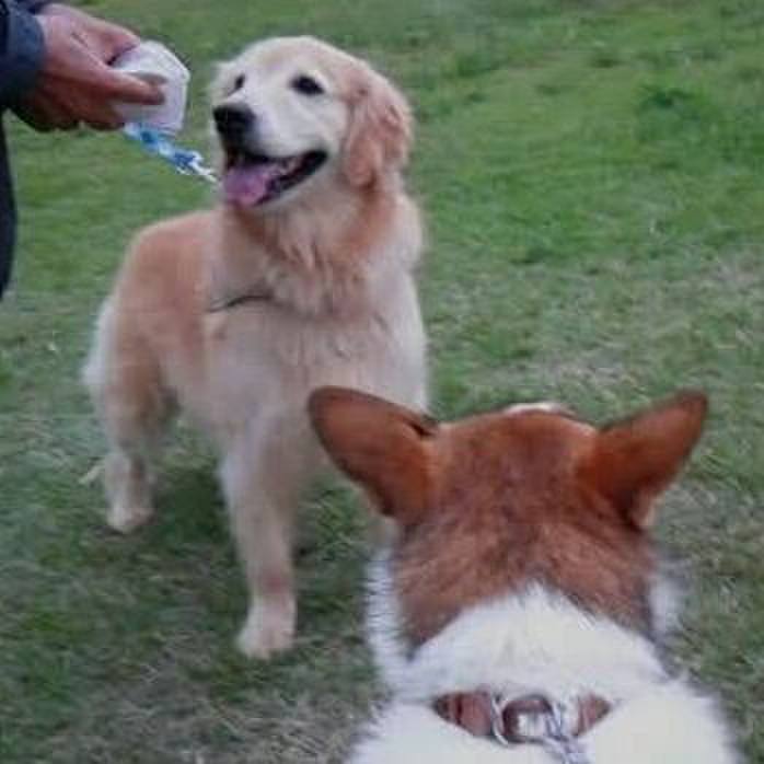 0c18c68e a9fa 43cc b6f5 a7df10c2849e 1539514804542