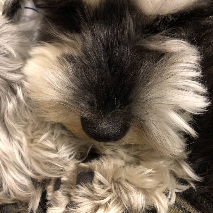 0c18c79c 3d45 4b51 ba83 7ab5f8fd42cf 1523627479549