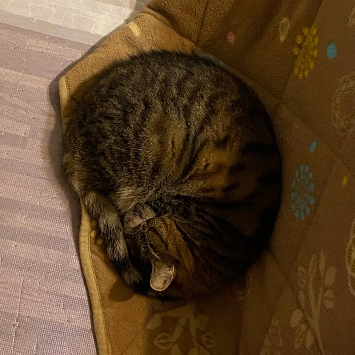 0c18efc8 dde3 4bf9 ab00 b38a9498f319 1642653713116