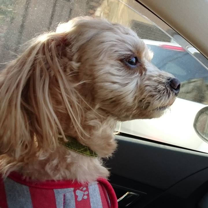 0c18f427 e659 430b 9f53 c0bc2d63f654 1518954982073