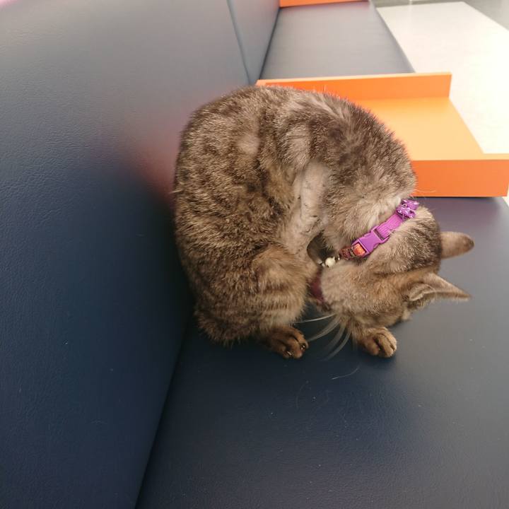 0c191062 09f5 4d26 86fa fc42201bf3c5 1587626868743