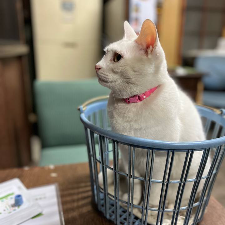 0c191136 9f47 440e a42c 207cd163e939 1764578105823