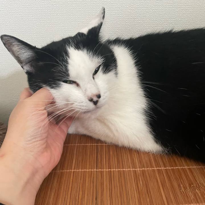 0c191e5f 4fdc 44db 9cef c394de3677b5 1719701098606