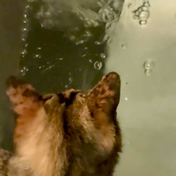 0c1924f9 bd33 47a3 b77b acdc333e04bd 1751401547243