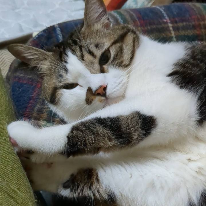 0c197d81 2c65 41ff bc67 15b497979c13 1699321288567