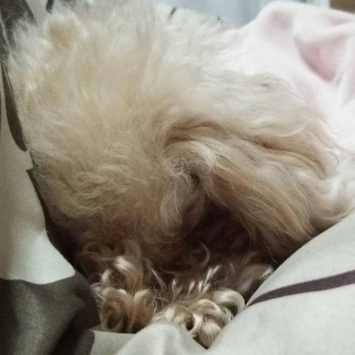 0c19d529 6b71 4f43 bc51 14652d6cc1c6 1540991551294