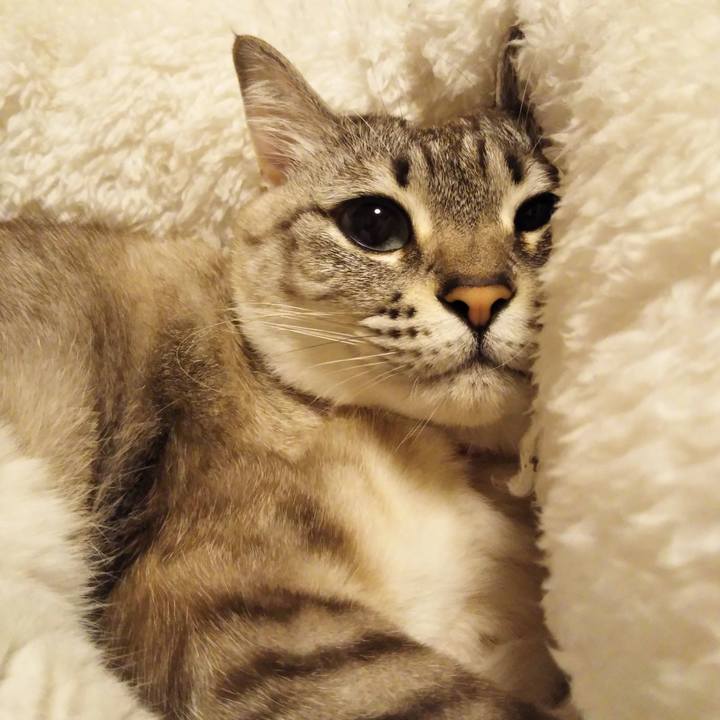 0c19e742 5c54 4357 8195 cbba34263bce 1611749152274