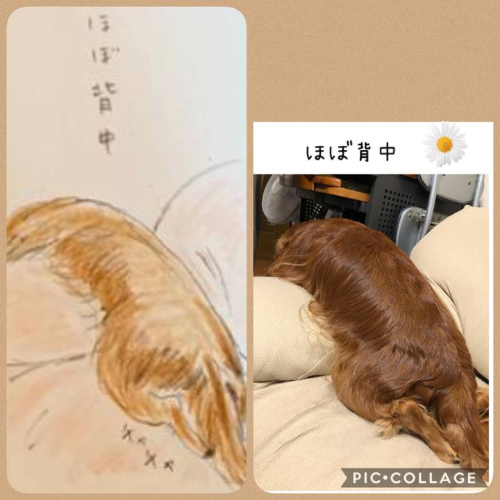 0c1a009e 4e41 4878 a0d4 e49cc628a189 1602759044924