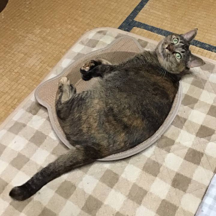 0c1a2f60 6734 43d8 8a6c 33f67cf77e39 1729841329990