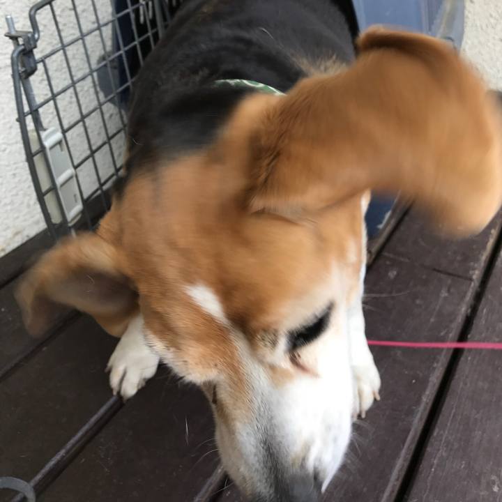 0c1a92d6 b5c0 4a44 991d 0a4186df523d 1523104827739