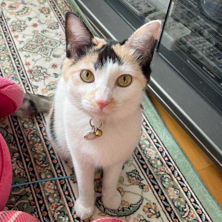 0c1aaad1 d741 4ba2 9405 d279461e3855 1677022198826