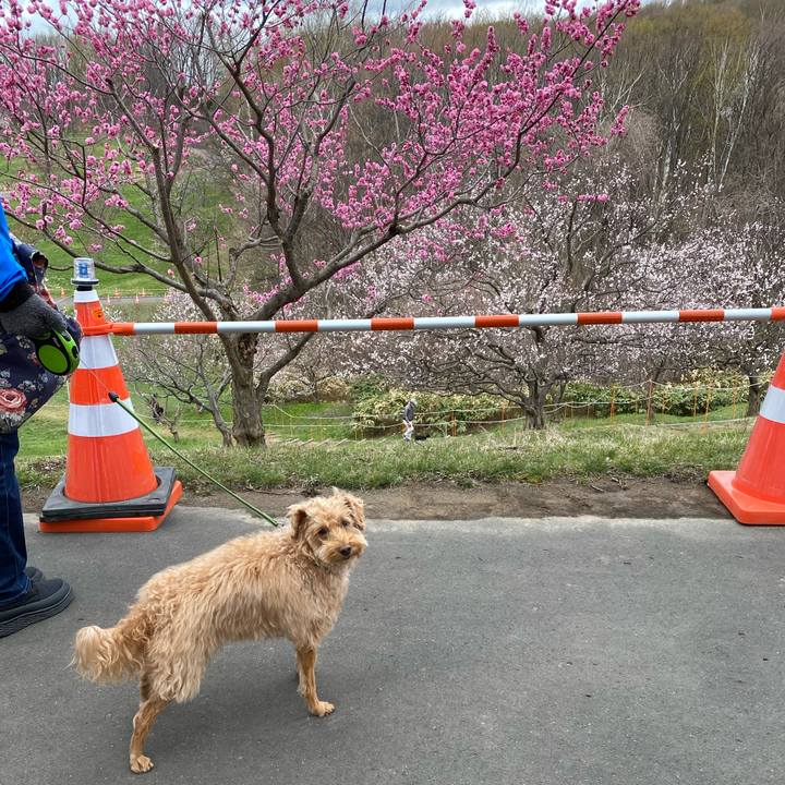 0c1b2d65 a879 4878 a1eb 4790c59febc6 1619919011030