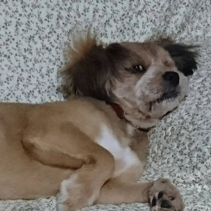 0c1b3d89 24e0 4bd6 b01f 147bba22e1a6 1533047060028