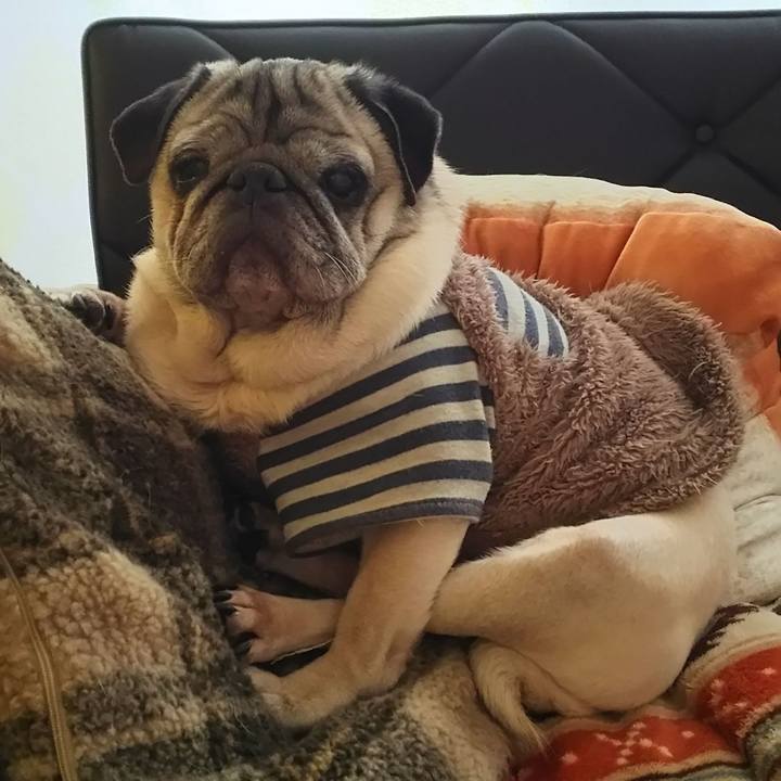 0c1b4ff9 e6e3 4d9b bc06 c541948b70ed 1558379379586