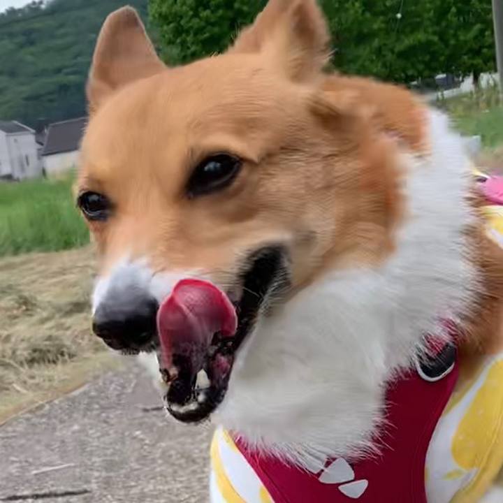 0c1b5995 ea2a 4400 b952 9810b707e201 1652330035129