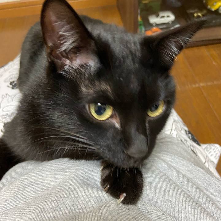 0c1c3f16 2c84 4878 9b11 e25abd28c334 1648727746544