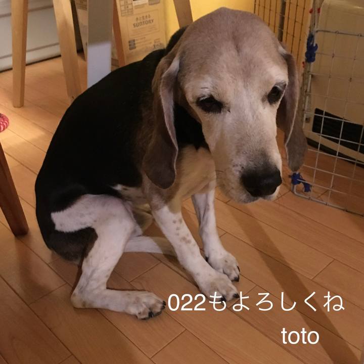 0c1c42dc 2582 4b19 9dd5 3da651567254 1641037024487