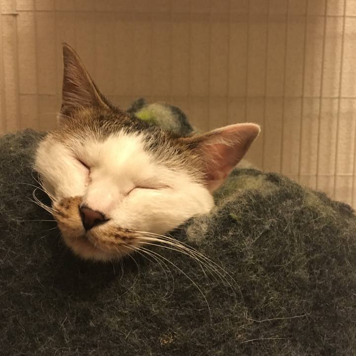 0c1c831c 2382 4b6b b088 605c03c9a9b4 1512302462229