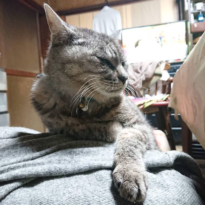 0c1cb644 8158 4098 a532 df88641fc753 1603568688702