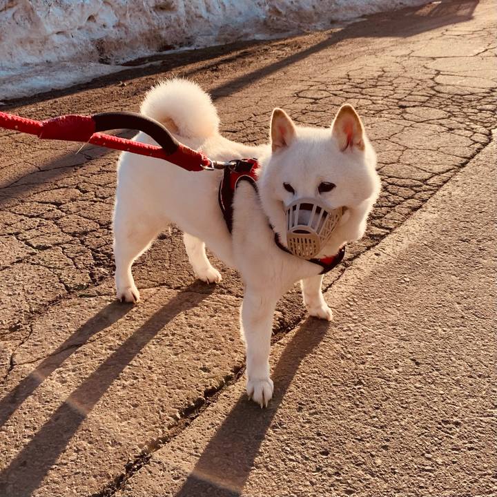 0c1ce29f cda6 4b24 92d3 bcbb34aae027 1678489454949