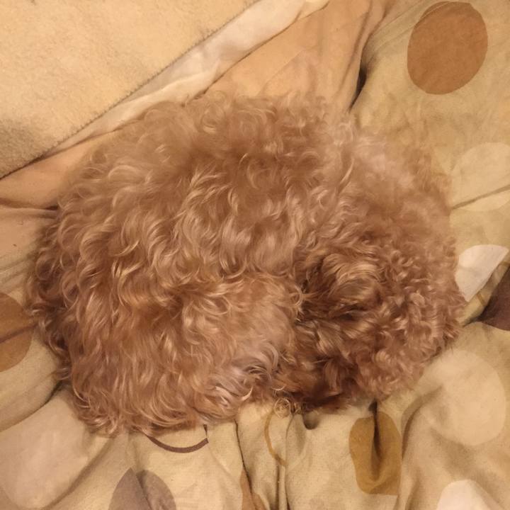 0c1ce735 6e66 44f0 bf14 d38fbcd16e6c 1514535384688