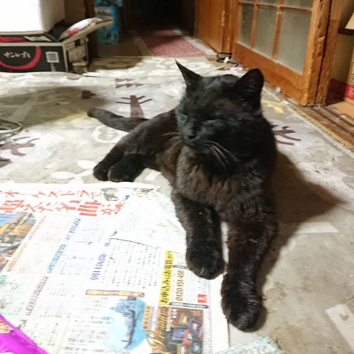 0c1cf092 b4b2 47b4 80c0 ee5defd95cd9 1657112306691