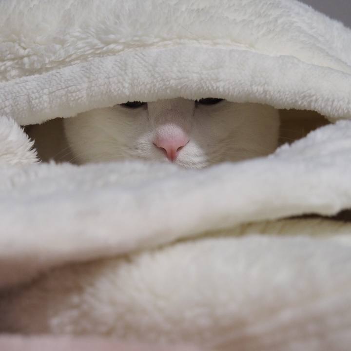 0c1d24ca 8356 4ee5 82a9 45f2ada37995 1520163026288