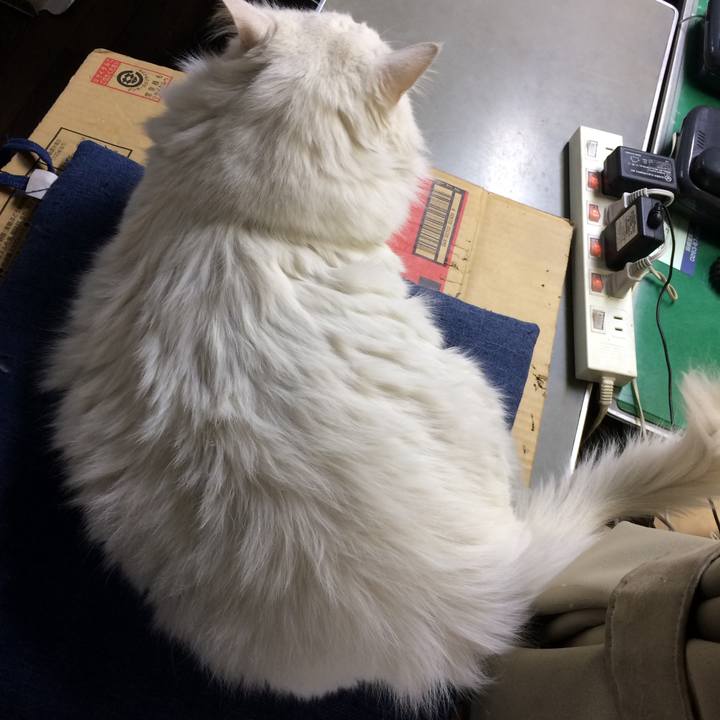 0c1d2af5 031c 4e71 ad9c f54128ecae8c 1513722593847