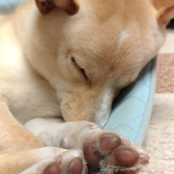 0c1d3c3b 77ae 4506 9b81 fea977738690 1526128197473