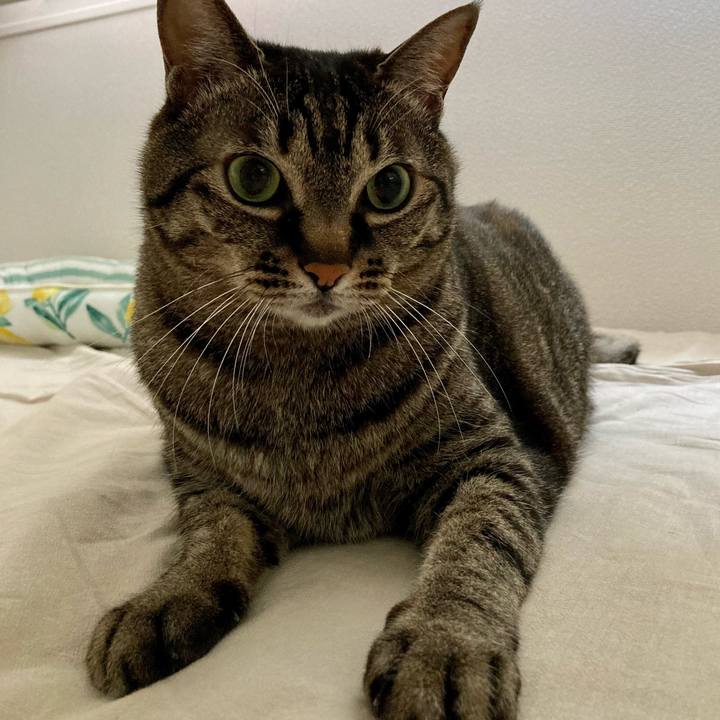 0c1d475c c013 4d0d b1ac 3bc05ded9a78 1684535752233