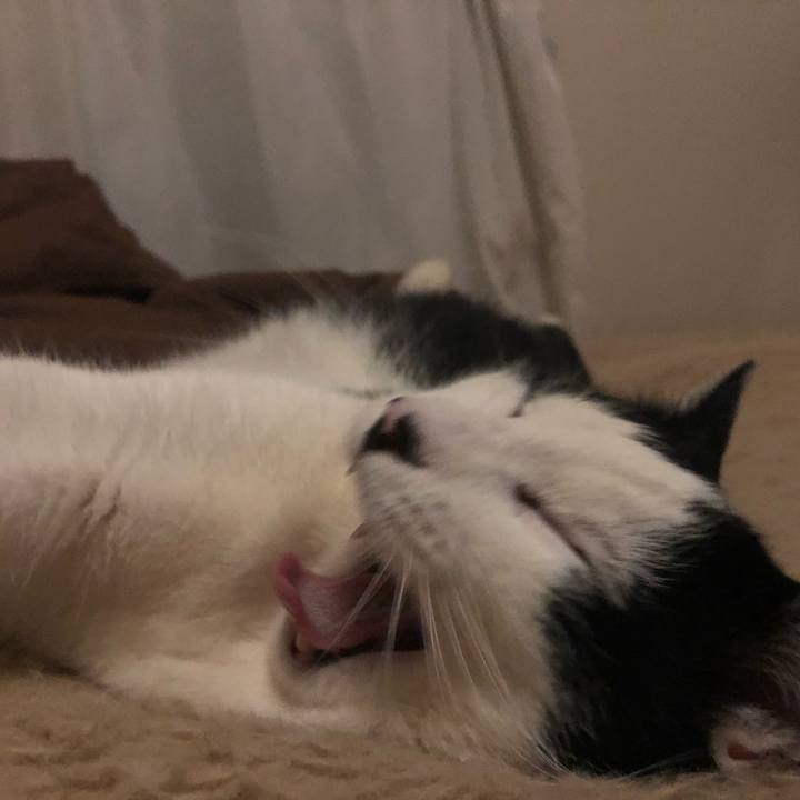 0c1d525f aecb 4e9c b07c 79af3fda0477 1552402769097