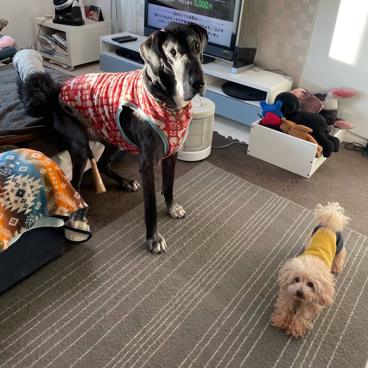 0c1d709c 1628 4a69 ba7a 4b25d1a578d8 1640645277692