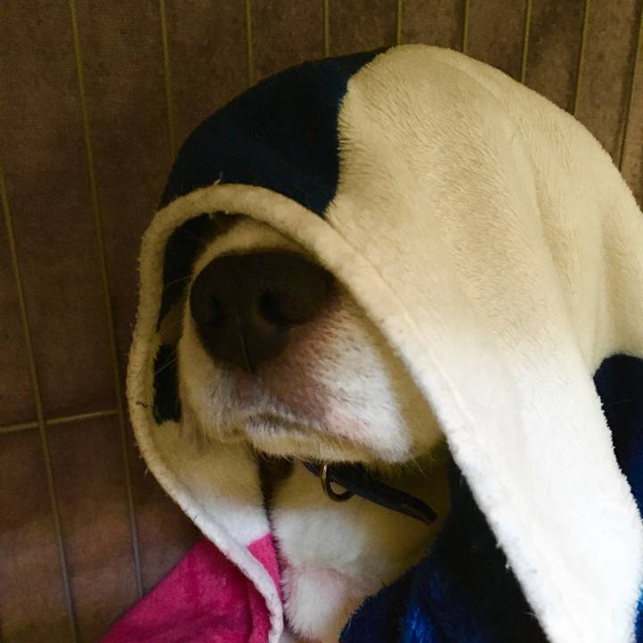 0c1d7b1e 68c3 4639 aff4 901c9035d671 1576470969528