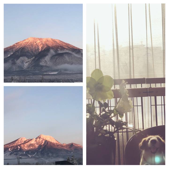 0c1d83a0 fa6f 4e7e 901e c71fb807f55b 1544917428741