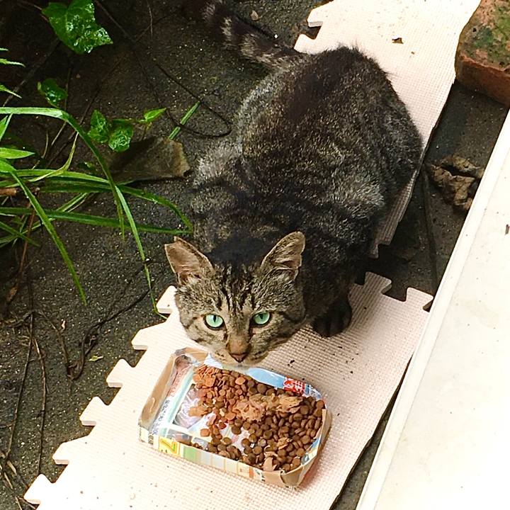 0c1da69e 49f4 4e8b b5e8 1010797afbdb 1629332153361