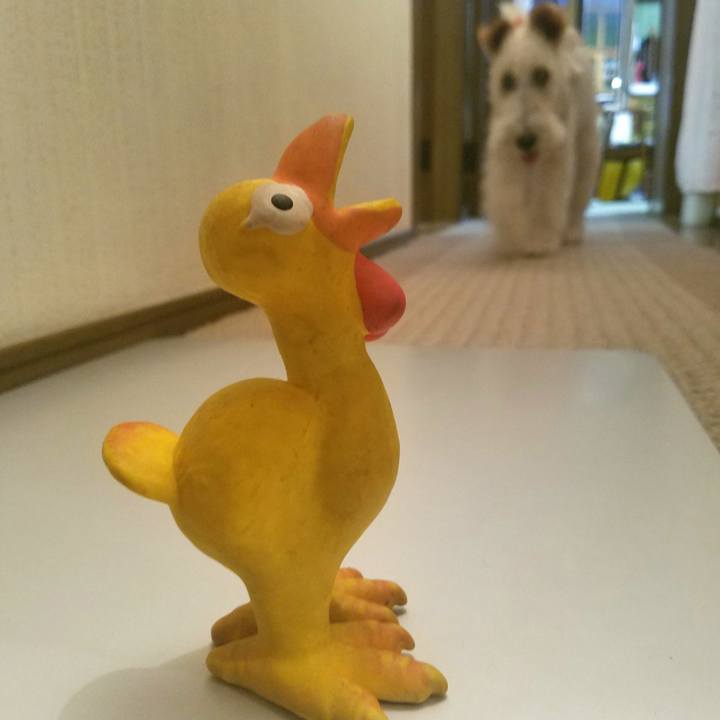 0c1dbb19 7558 471b 8dba 3c5cbf7f7cdb 1592049254427