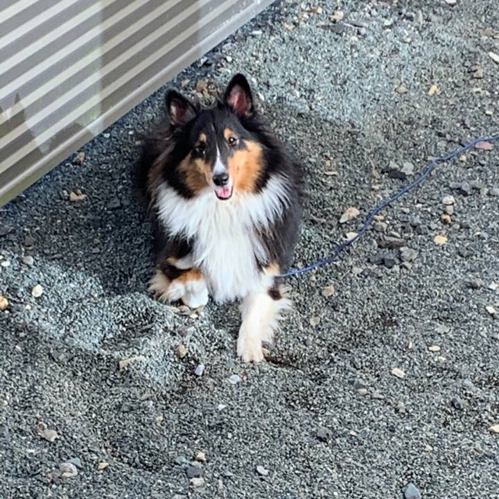 0c1dd447 5958 41cd b6be dab27690c2f4 1570573429443