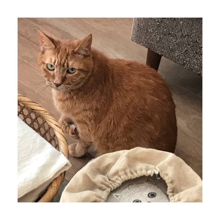 0c1e0d20 85d3 45b4 b694 f6b9782ea731 1645686776086