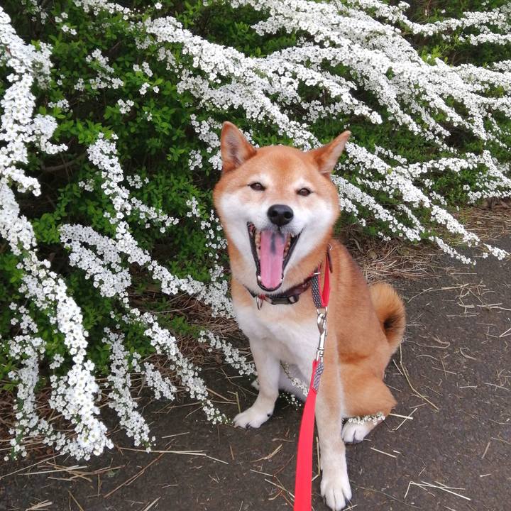 0c1e1820 a951 48ea 8fb0 0ef240bc92a0 1648689746319