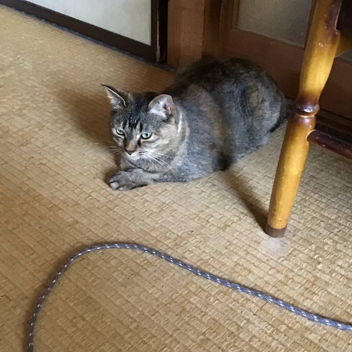 0c1e2980 4d84 422b 91e1 c245c83dc659 1714878057095