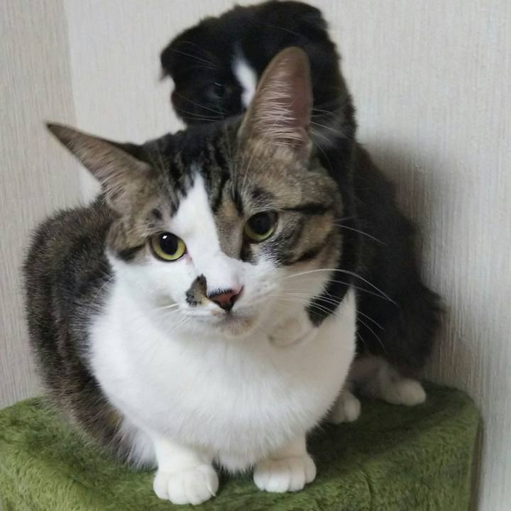 0c1e2a76 df03 44d6 9fd2 5736fcabb696 1640612339705