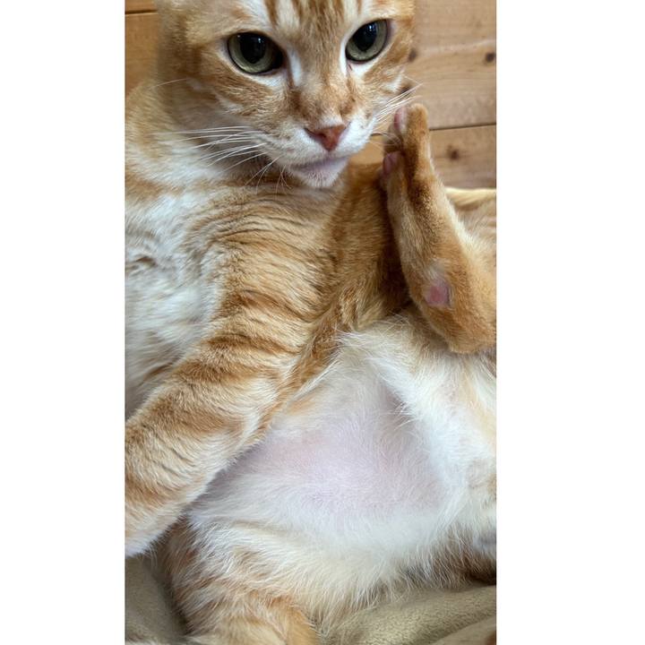 0c1e3339 cbde 4bab bd6e eaac446ca0a4 1681337456828