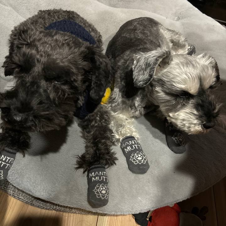 0c1e543e 4b21 4b2c 8c40 460be96befec 1704798771655