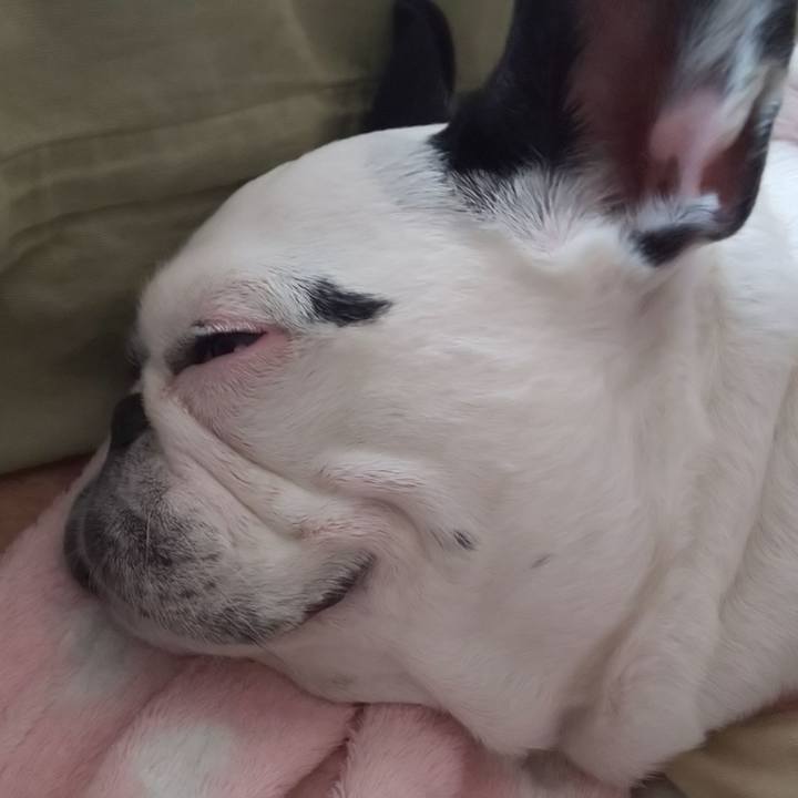 0c1e5e37 4c2d 4644 a137 bef18cacb812 1557238491403