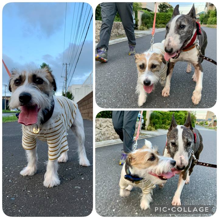 0c1e8abf e2d4 4d5f 9c1f 8e54bc98553b 1627477985296