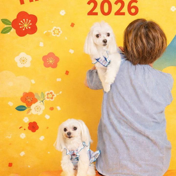 0c1ed112 3ccc 43cc 8a44 e6833bdc974c 1767268580101